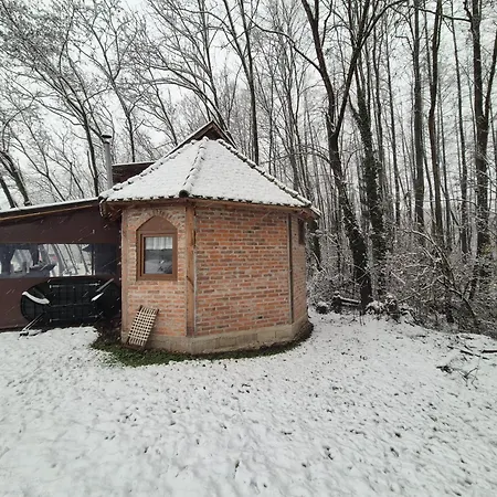 House Vikendica
