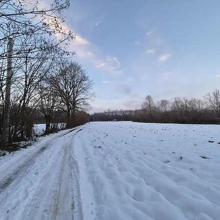 House Vikendica Donji Zabar