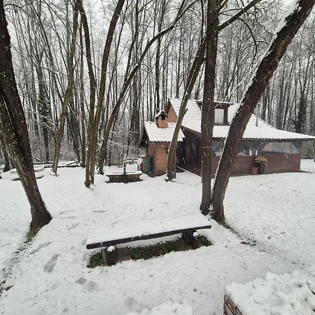 Lake House * Donji Zabar