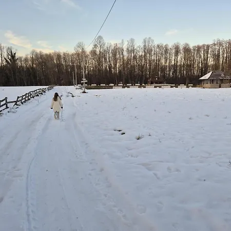 Holiday home Lake House Donji Zabar